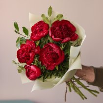 Букет из 5 красных пионов