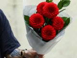 Монобукет из 5 красных георгин
