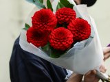 Монобукет из 5 красных георгин
