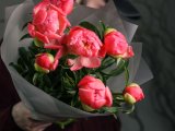 Монобукет из 7 пионов Корал Шарм