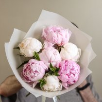 Микс пионов с мятой (7 шт.)